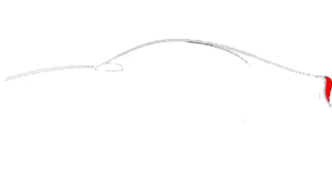 Logomarca Lobos car fragance